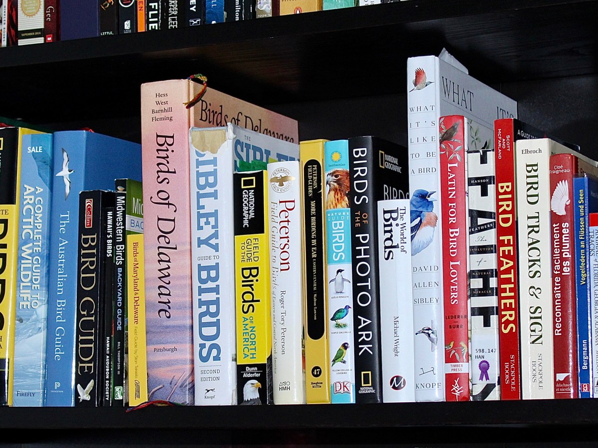 A feather enthusiast’s bookshelf