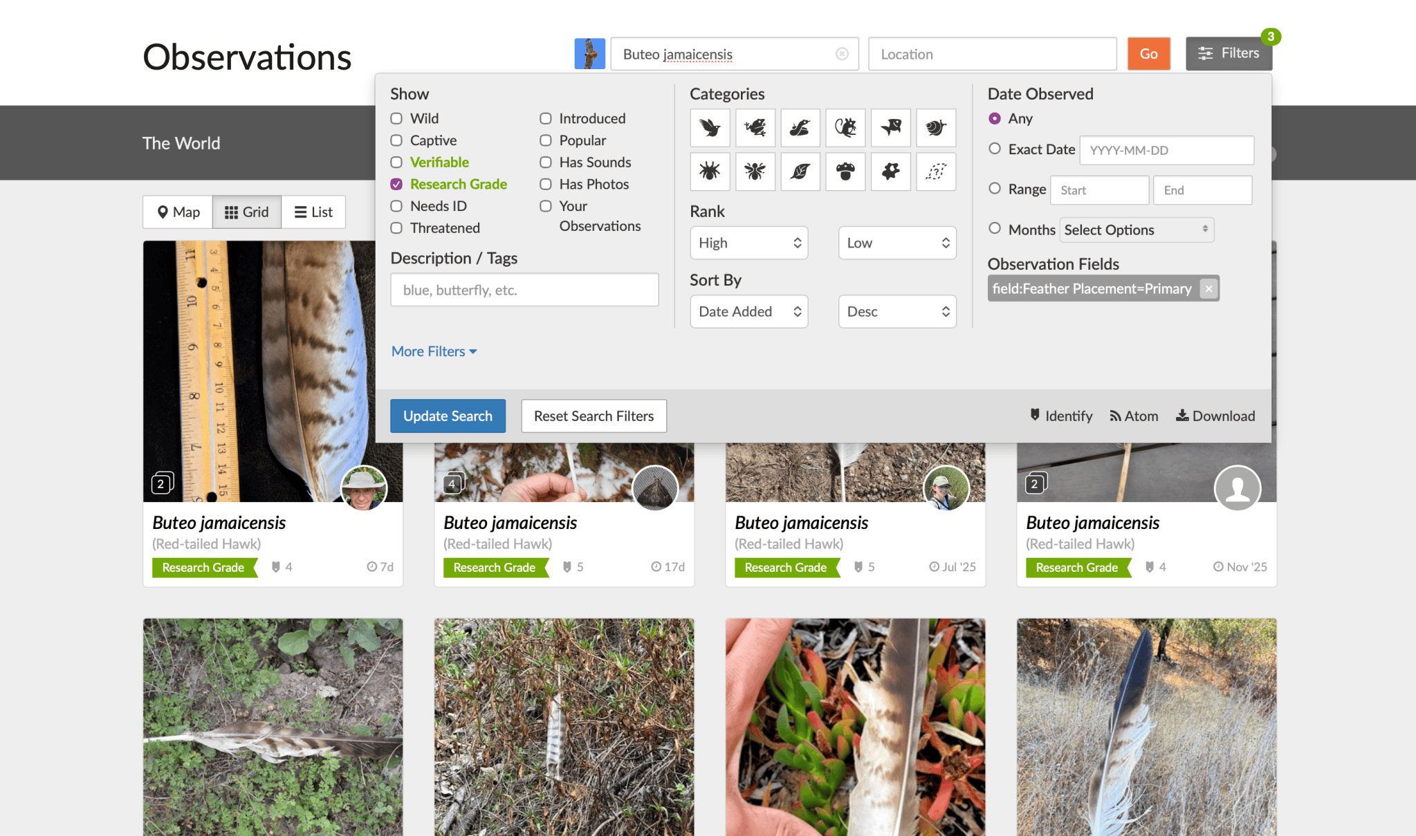 How to find reference photos for (almost) every feather – Found Feathers